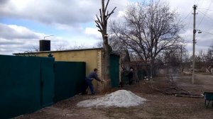 Как правильно спилить дерево.