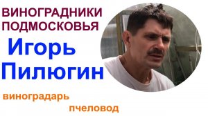 В гостях у Игоря Пилюгина или Подмосковные виноградники