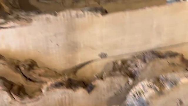 Карагач каповый сушка пресс вакуум Находимся в Москве прям на МКАДе смотреть онлайн