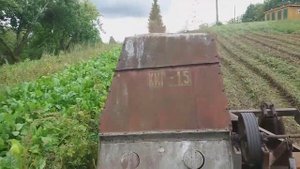 МТЗ-82+ КИР-1.5) косим(измельчаем) батву картофеля.(28.08.2020.) Всем спасибо?!!!