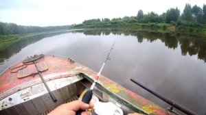Ловим судаков на троллинг на реке,ловля судака с лодки