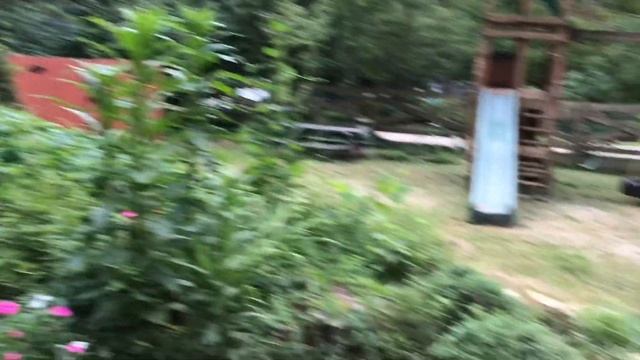 Почему американцы постоянно косят свой газон!??? смотреть онлайн