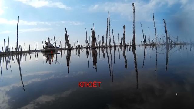 если бы не камера то не узнал бы что клевало смотреть онлайн