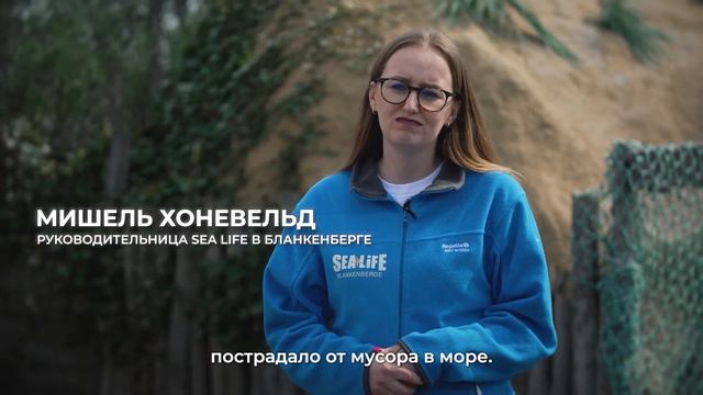 #EUBeachCleanup: Симба смотреть онлайн