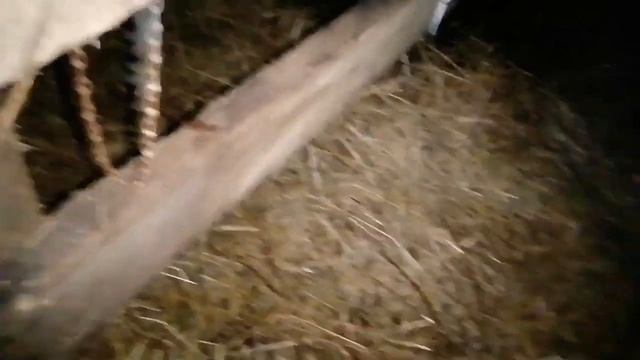 Свиньи и новый #Дворец / #Вьетнамцы рулят / Как сделать простой загон поросятам
