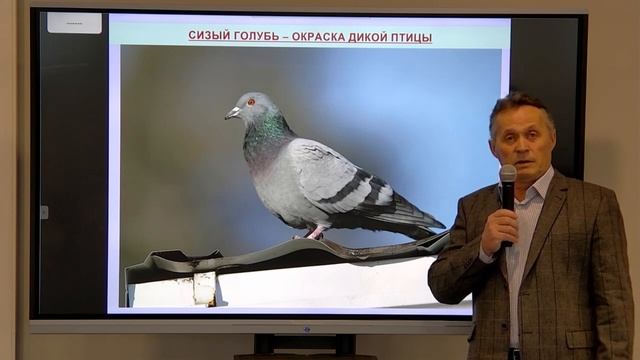 Изучаем орнитологию в ВГПУ.mp4 смотреть онлайн