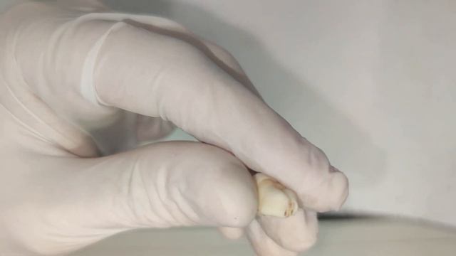 Сделай сам. Изготовление креативного шпателя в зуботехническую лабораторию