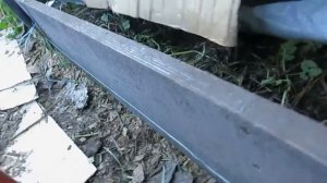 укрытие двухлетнего граната на зиму