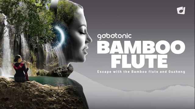 Beautiful Chinese BAMBOO FLUTE and GUZHENG music for study, relaxation, meditation + nature sounds смотреть онлайн