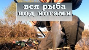 #1 Половодье на Оке  Ловля на маховую удочку