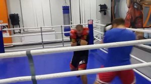 Спарринг бокс псков
