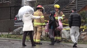 Tree Struck House Highland Dr. Coquitlam, B.C. 01/17/2016