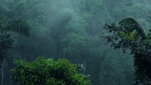 2 часов успокаивающий звук дождя и музыка пианино для сна. Сильный ливень Raind Sounds