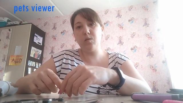 КАК ПРАВИЛЬНО ПОДСТРИЧЬ ЙОРКА | ГИГИЕНИЧЕСКАЯ СТРИЖКА ЙОРКА