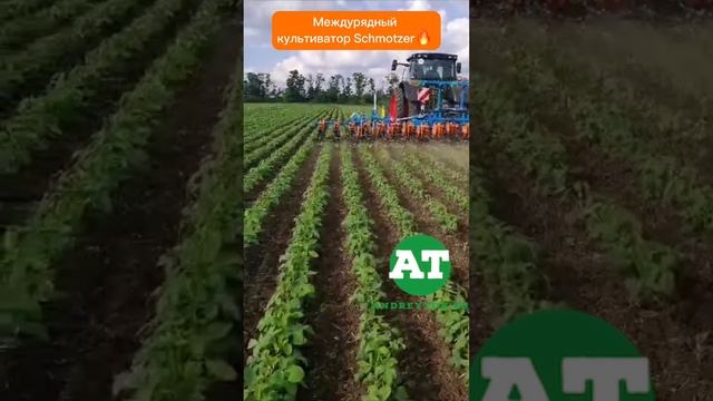 Междурядный культиватор Schmotzer? #tillage #amazone #schmotzer #deere