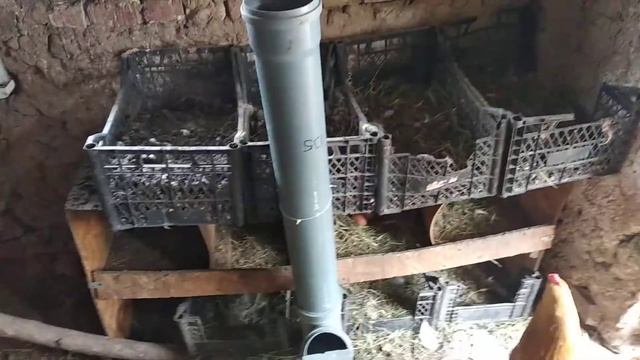 Бункерная кормушка для птиц за 5 минут из пластиковой трубы
