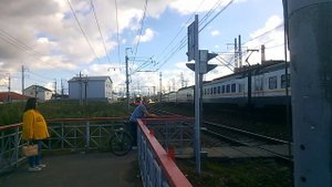 Электропоезда ЭП2Д-0151 и ЭГ2Тв-021 "Иволга 1.5" пролетают переезд
