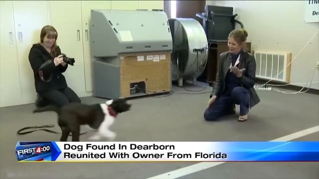 Спустя ГОДЫ Животные Встретились Со Своими Хозяевами! Попробуй НЕ ЗАПЛАКАТЬ! смотреть онлайн