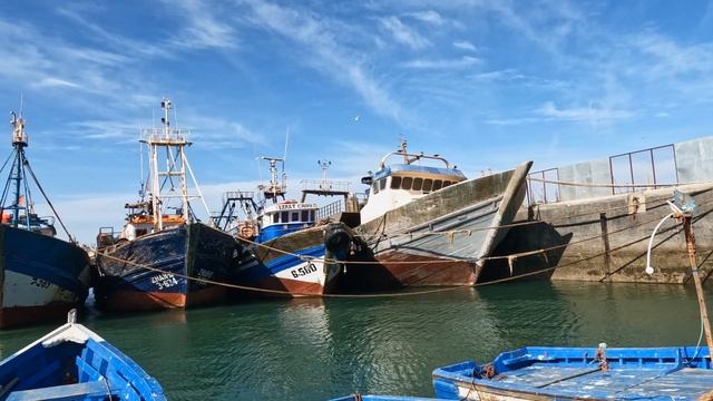 VISITING ESSAOUIRA, MOROCCO? WHAT TO SEE AND WHAT TO DO смотреть онлайн