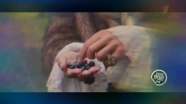 Иван Ургант Грибы, Например смотреть онлайн