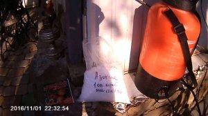 Опрыскивание деревьев сада осенью от болезней и вредителей: тли, клещей, сосущих, медяниц