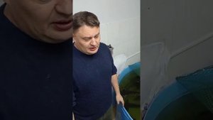 Разведение осетровых в домашних условия