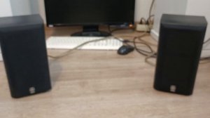 Yamaha ns e55
