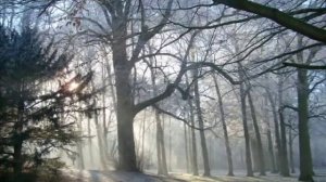 Dana Winner' STAY WITH ME TILL THE MORNING