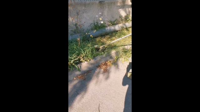 Работаешь и не кому не мешаешь 🤗 #shorts