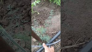 работа с гидроуровнем одному легко и просто