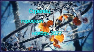 Стрелец! Гороскоп на ноябрь 2022 года!