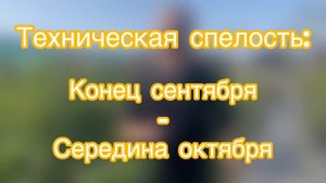 Обзор груши сорт Тютчевская