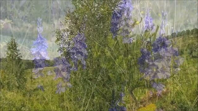 Поездка в лес за земляникой смотреть онлайн