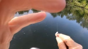 Just What IS in this water?! Alone in a Boat