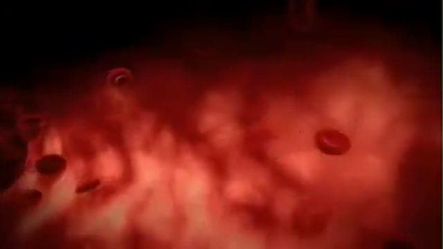 полет эритроцитов 7