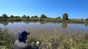 Рыбалка в камышах с рогаткой.SLINGSHOT FISHING