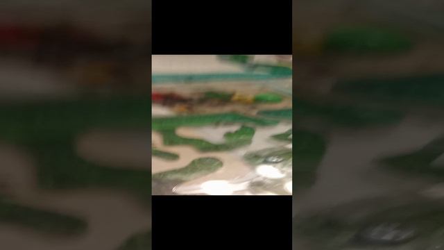 Муравьиная ферма. Осмотр муравьёв