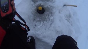 Рыба есть мормышку не хочет. Эхолот Lucky FF1108-1C