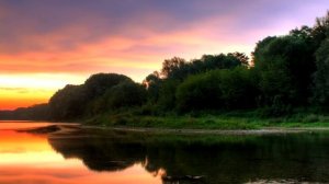 Таёжный экзамен из серии "Зачем мне нож?".mp4