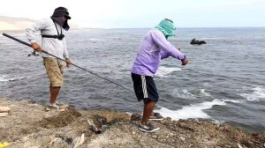 Mira como se Pesca los Pez Gato (Bagres) con Anzuelo