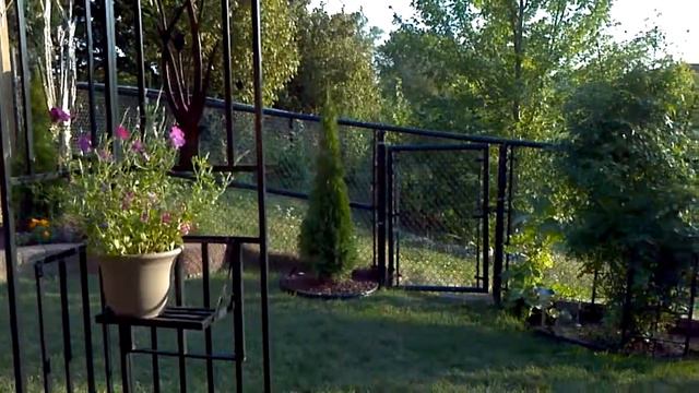 Wavepetunia garden смотреть онлайн