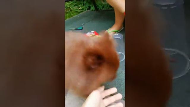 День рождение Маруси!! 28 июля смотреть онлайн