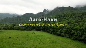 Кавказский заповедник Плато Лаго-Наки в мае