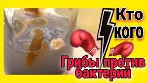 Я всё ещё это храню Невидимый душегуб орхидей Мои наблюдения.