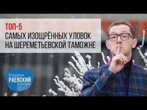 Владимир Раевский составил топ-5 самых изощрённых уловок на шереметьевской таможне..mp4