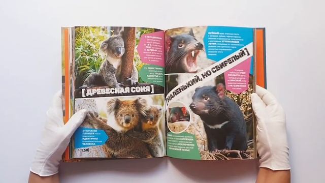 Большая энциклопедия о животных. 500 фотографий и фактов