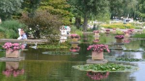 Planten un Blomen Hamburg.  Der Sommer