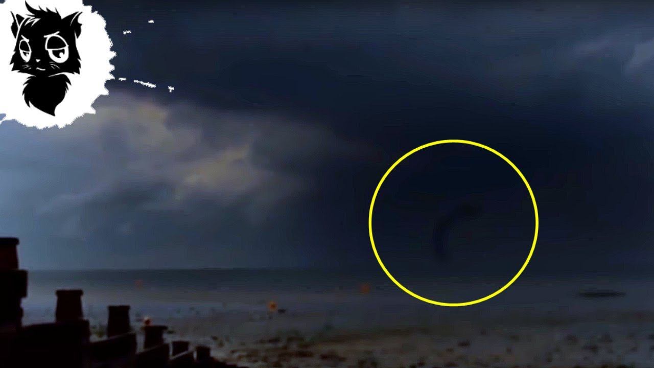 5 МОНСТРОВ ИЗ ОКЕАНА СНЯТЫХ НА КАМЕРУ [Черный кот] смотреть онлайн