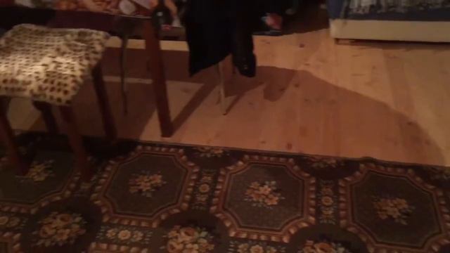 VLOG/ДАЧА/Vika Malaya смотреть онлайн