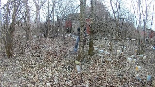 как правильно спилить дерево бензопилой Elitech. смотреть онлайн